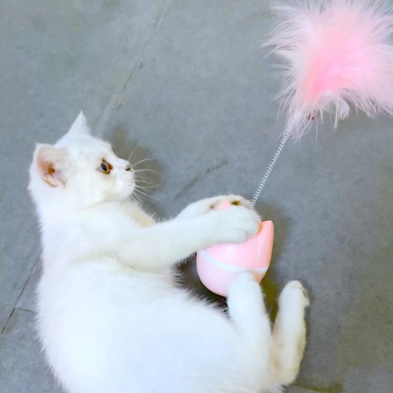 Cat Toys - Blue — wholesale custom promotional product