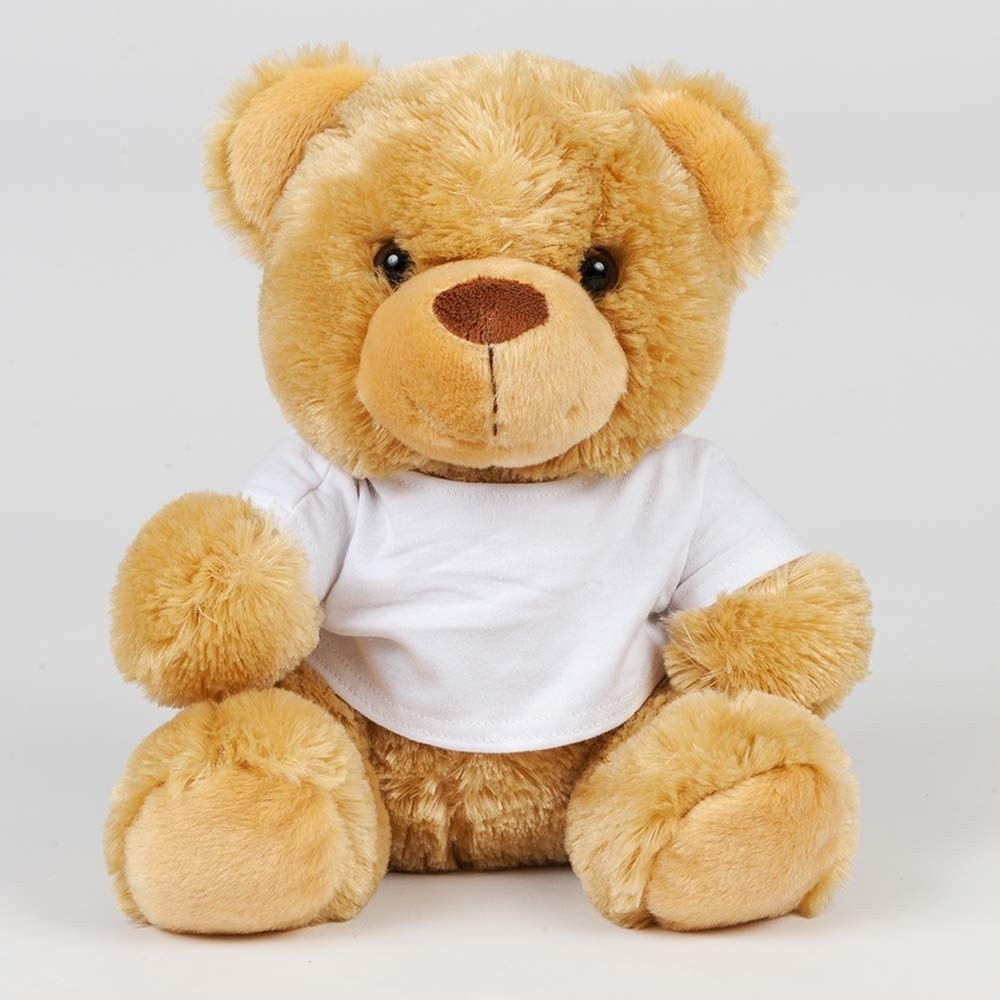 8.5" Plush Bear With T-Shirt