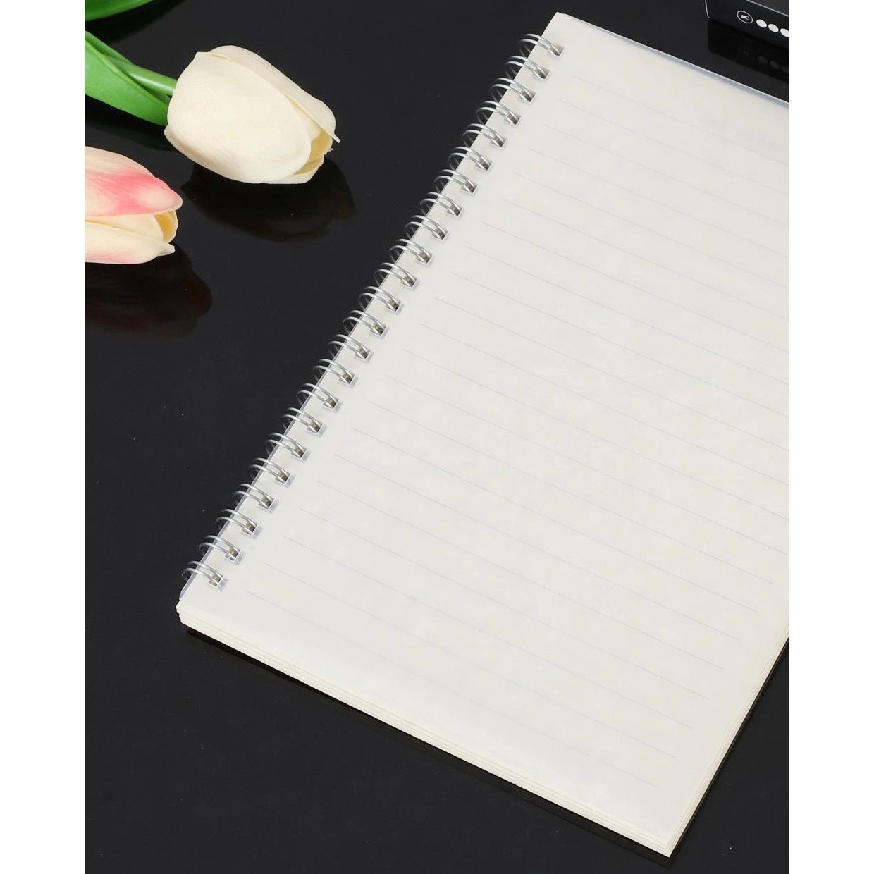 A5 Loose-Leaf Notebook With PP Plastic Cover