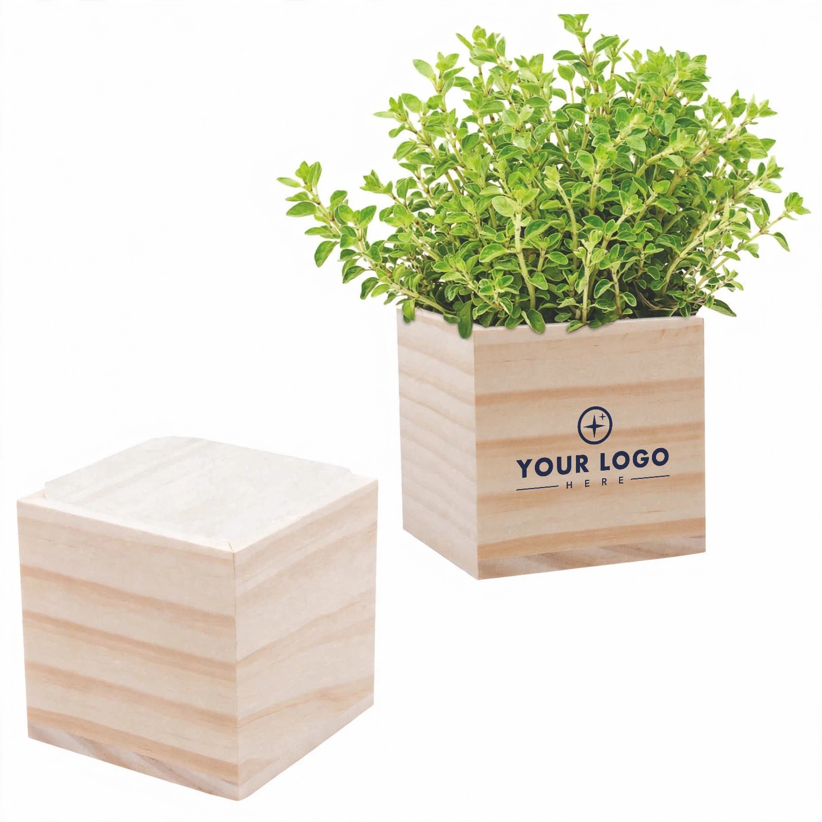 3" Wooden Cube Planter Kit With Seeds