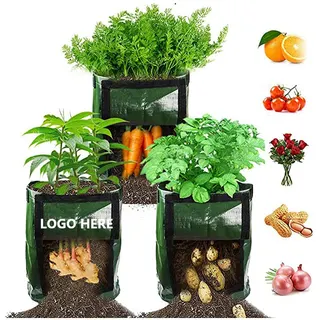 Vegetable seedling bag
