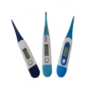 Digital Thermometer
