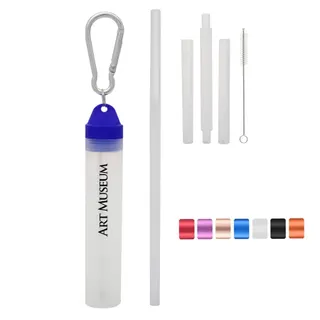 Collapsible Reusable Stainless Steel Telescopic Straw