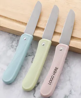 Foldable Knife