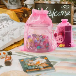 Breathable Organza Drawstring Bag