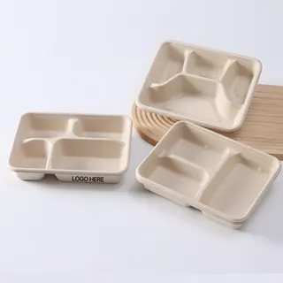 Disposable Biodegradable Tray Lunch Box