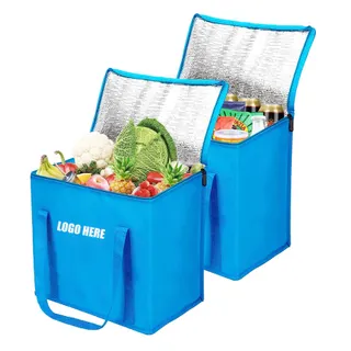 Ice Cooler Bag