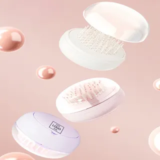 Travel Hair Brush