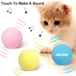 EVA Pet Ball w/Voice