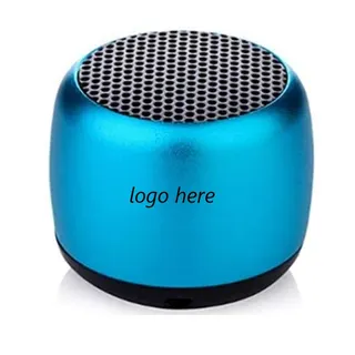 Portable Wireless Speaker