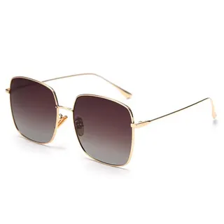 Polarized Sunglasses w/Metal Frame