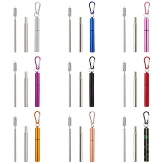 Telescopic Stainless Steel Straw Kit