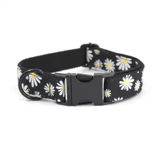 Stylish Printed Fabric Dog Collar